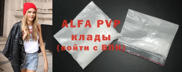 спиды Магас