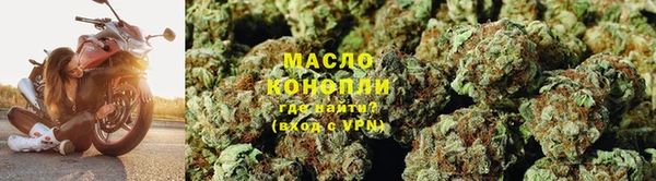 спиды Магас