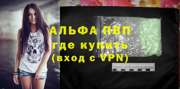 спиды Магас
