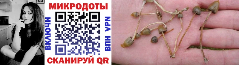 KRAKEN как войти  наркота  Хабаровск  Галлюциногенные грибы ЛСД 