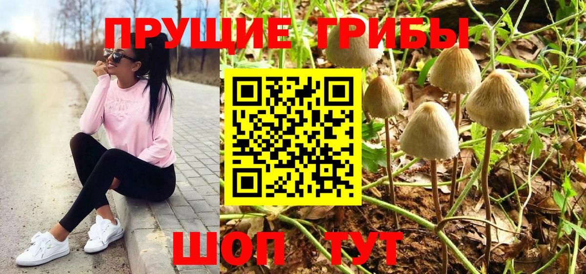 Псилоцибиновые грибы MAGIC MUSHROOMS  Вход с VPN  Хабаровск  Галлюциногенные грибы прущие грибы 